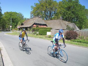 RTF Celle Rocky 608